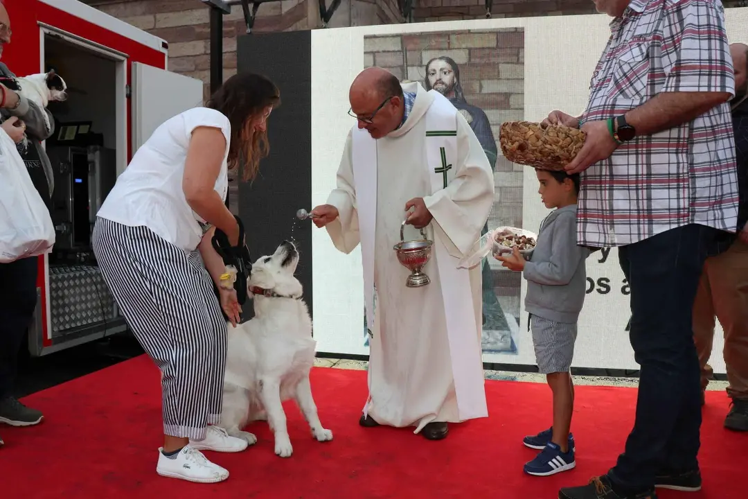 20220816195542_IMG_5994 (1)