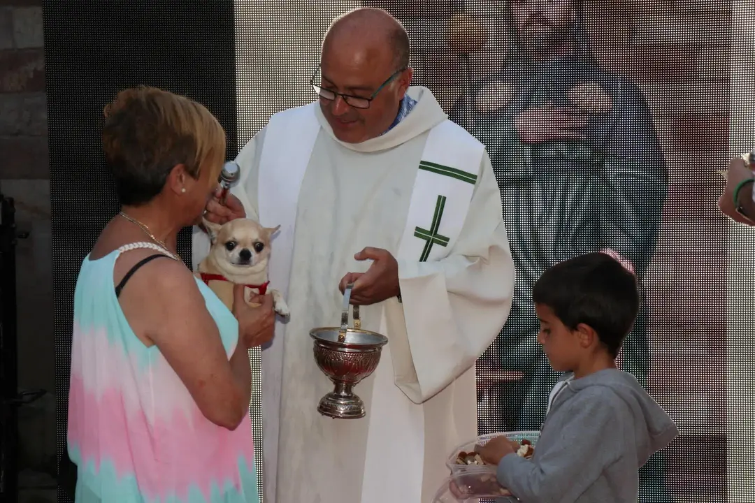 20220816200053_IMG_6033 (1)