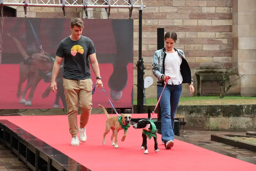 20220816182817_IMG_5884 (1)