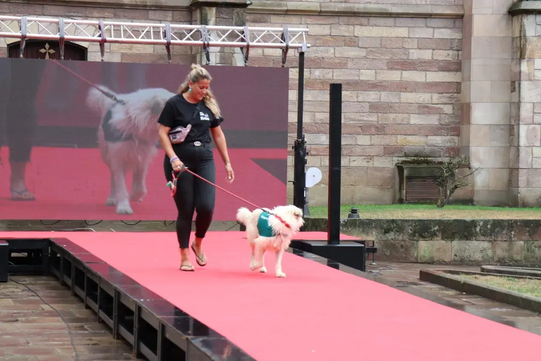 20220816182936_IMG_5891 (1)