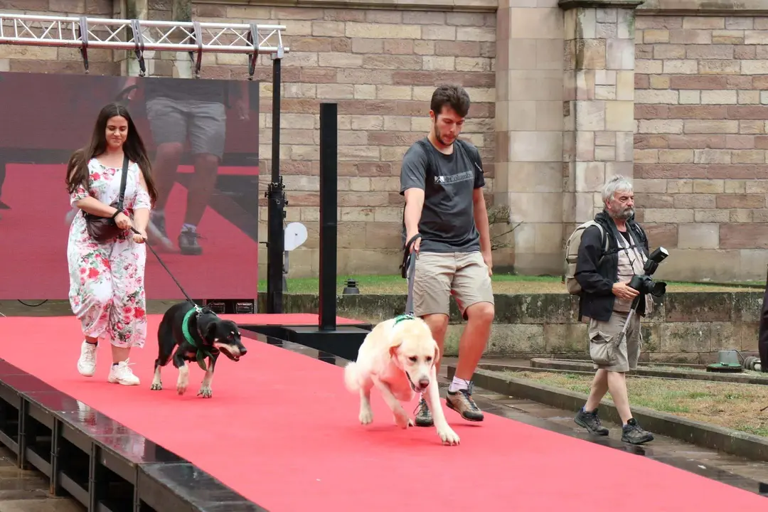 20220816183121_IMG_5902 (1)