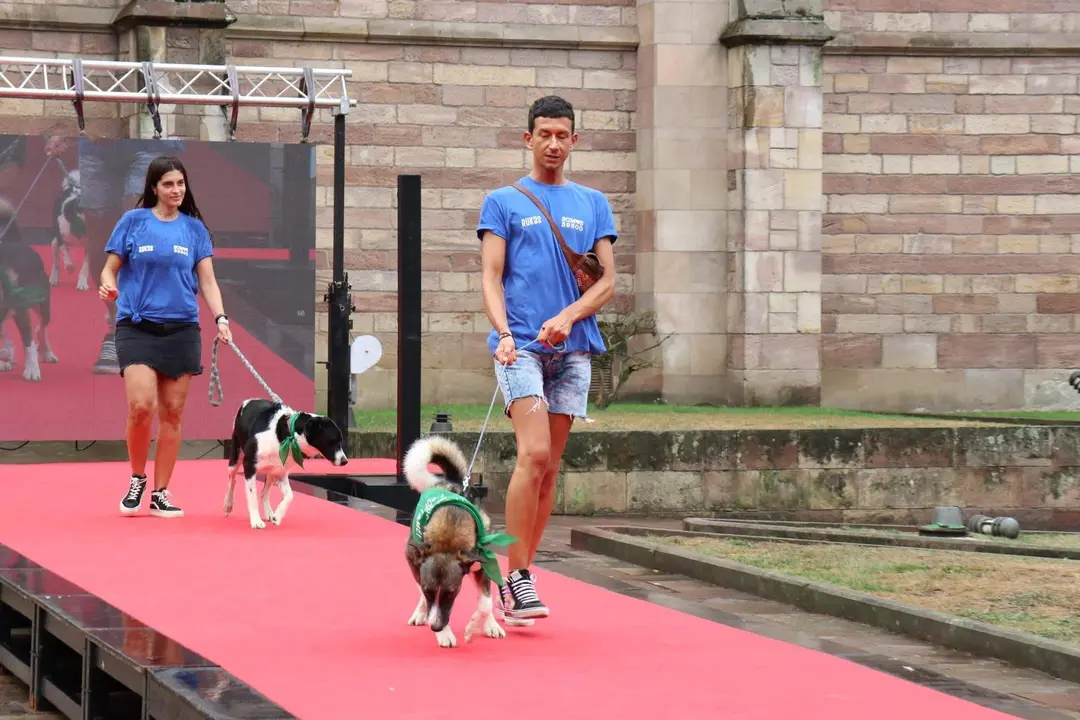 20220816183233_IMG_5908 (1)