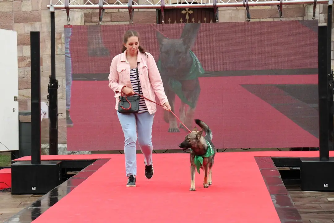 20220816183823_IMG_5927 (1)