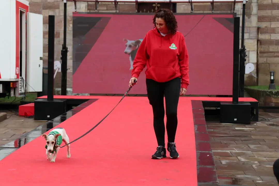 20220816184003_IMG_5934 (1)