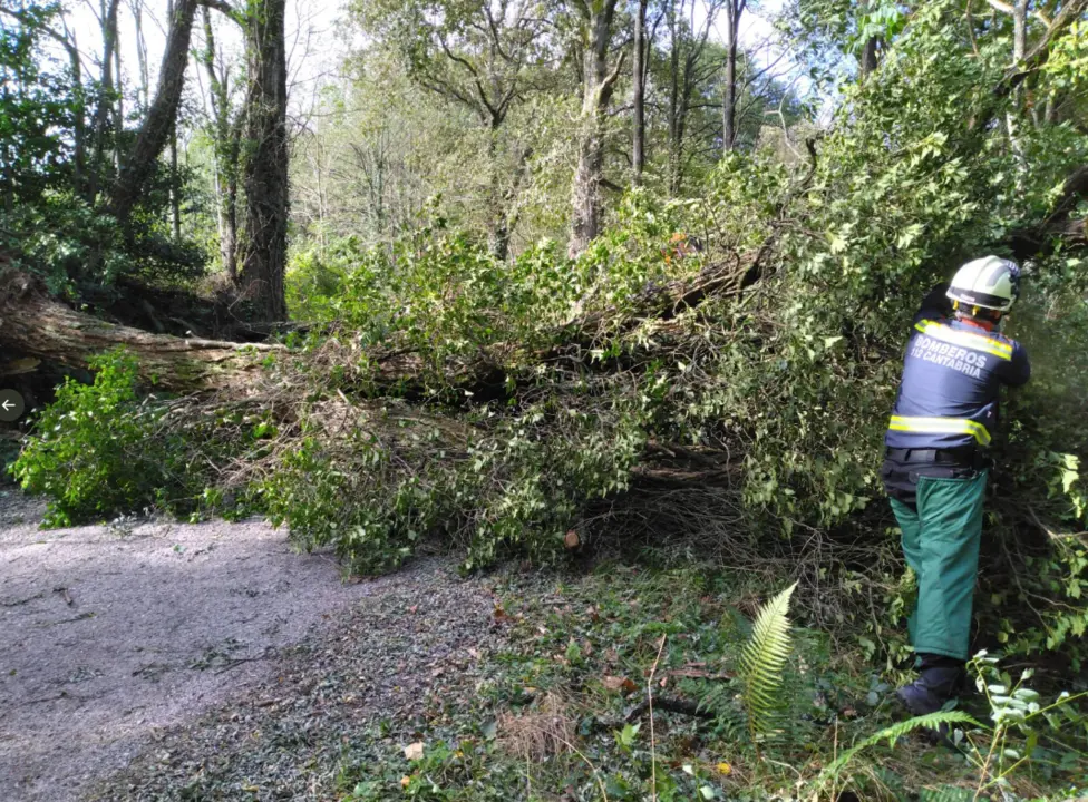 Captura de pantalla 2022-10-23 a las 20.43.34