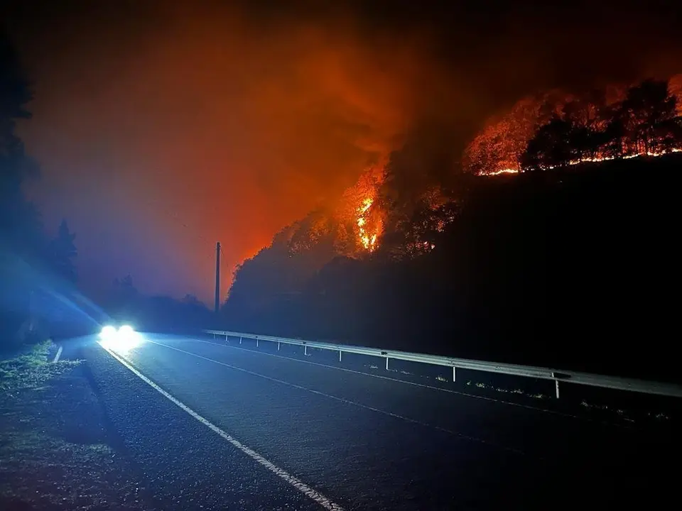 WhatsApp Image 2022-10-29 at 11.17.45 AM (1)