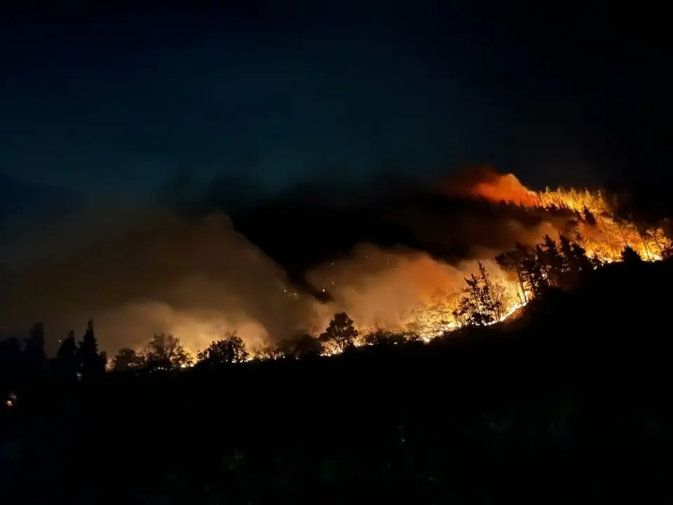 9FE98CE8-8223-431A-82F2-047449BA8323