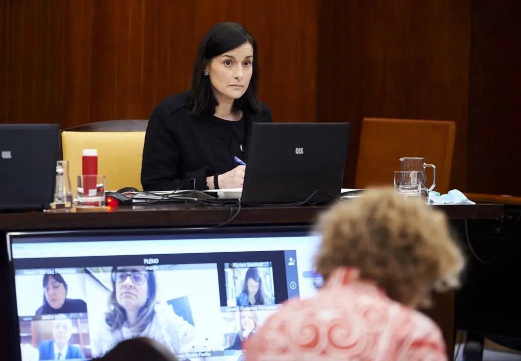 30/04/2020  SANTANDER
ep pleno de Ayto Santander 

Alberto Torres Briz

FOTO: JUAN MANUEL SERRANO ARCE
