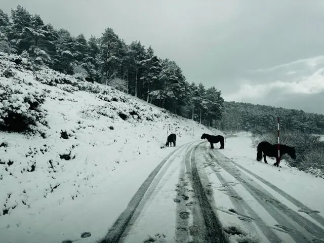 95F67491-D39D-4981-9D50-EC749406AD48