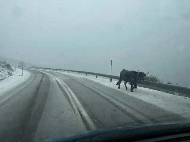 715D7A50-BE8A-4B91-BBAA-5CFE42E692D5