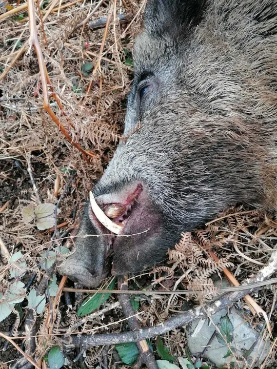 WhatsApp Image 2022-12-11 at 15.59.48