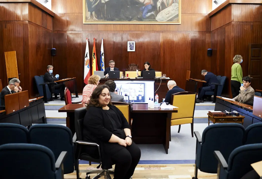 30/04/2020  SANTANDER
ep pleno de Ayto Santander 

Alberto Torres Briz

FOTO: JUAN MANUEL SERRANO ARCE
