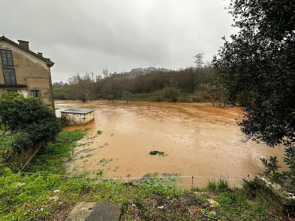 WhatsApp Image 2023-01-16 at 13.28.38