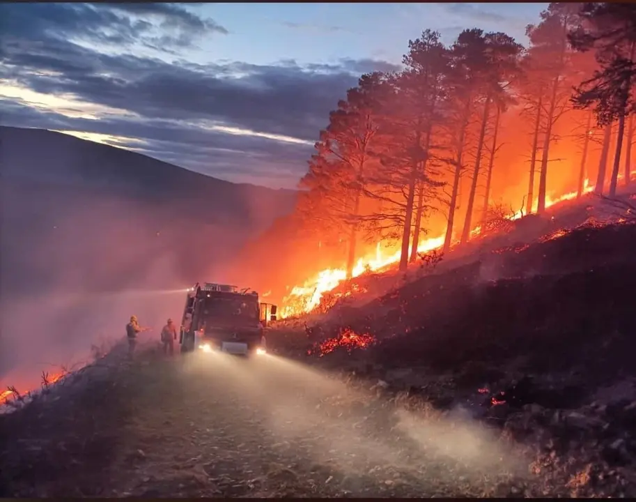 WhatsApp Image 2023-03-26 at 11.02.43