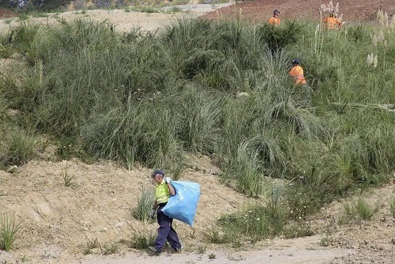 plantas invasoras
plumeros
el cuco
nr &copy;
28 ago 19