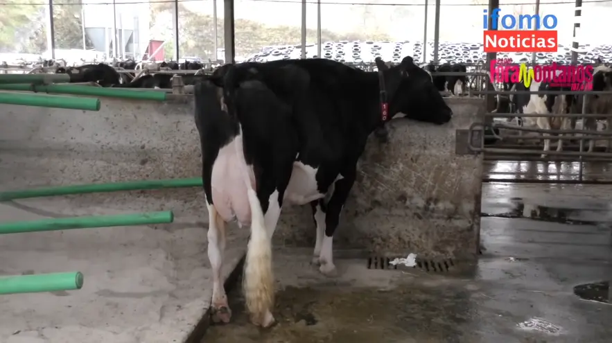 Captura de pantalla 2023-12-02 a las 22.53.06