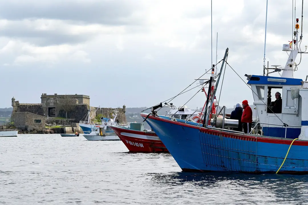 A Coru&ntilde;a
D&aacute;rsena de A Marina
La Cofrad&iacute;a de pescadores de A Coru&ntilde;a hace un paro de la flota artesanal en se&ntilde;alan de protesta contra el reglamento de control de la UE
26/03/2021
Foto: M. Dylan / Europa Press