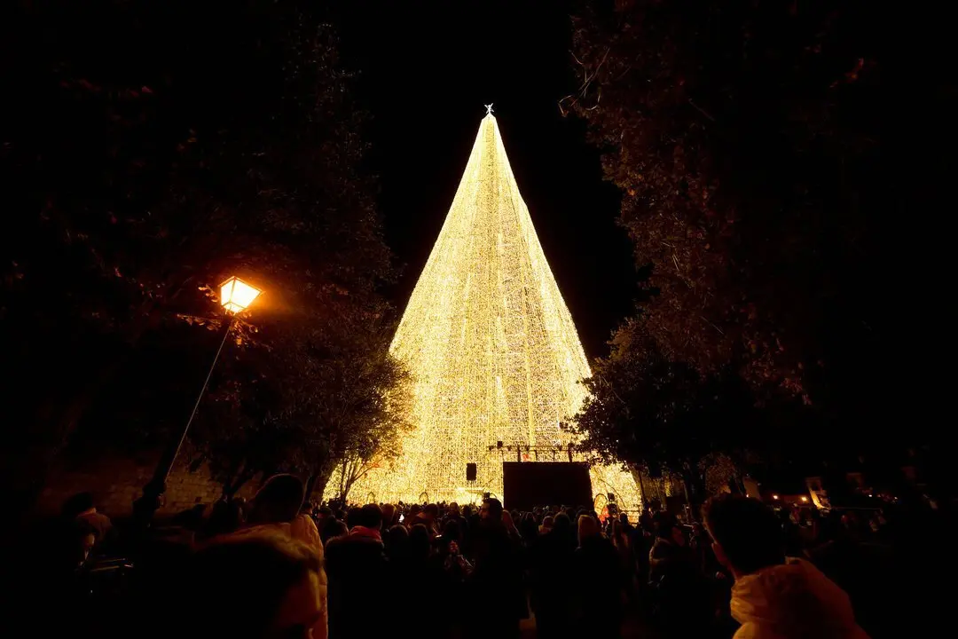 5/12/23  SANTANDER
arbol de navidad 



FOTO: Juan Manuel Serrano Arce