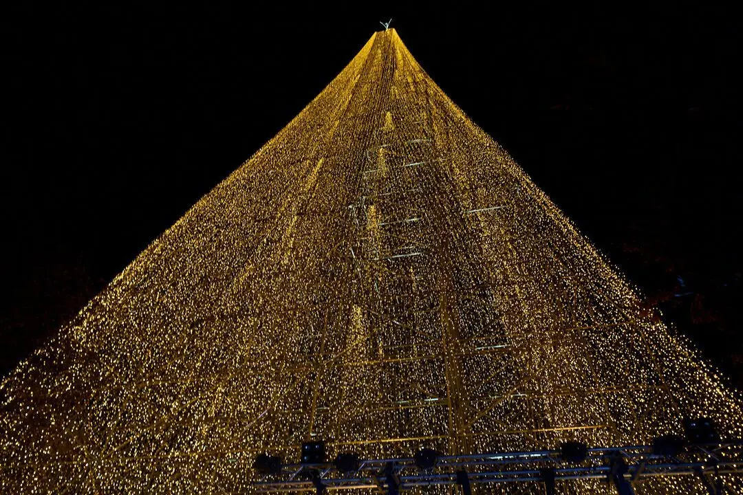 5/12/23  SANTANDER
arbol de navidad 



FOTO: Juan Manuel Serrano Arce