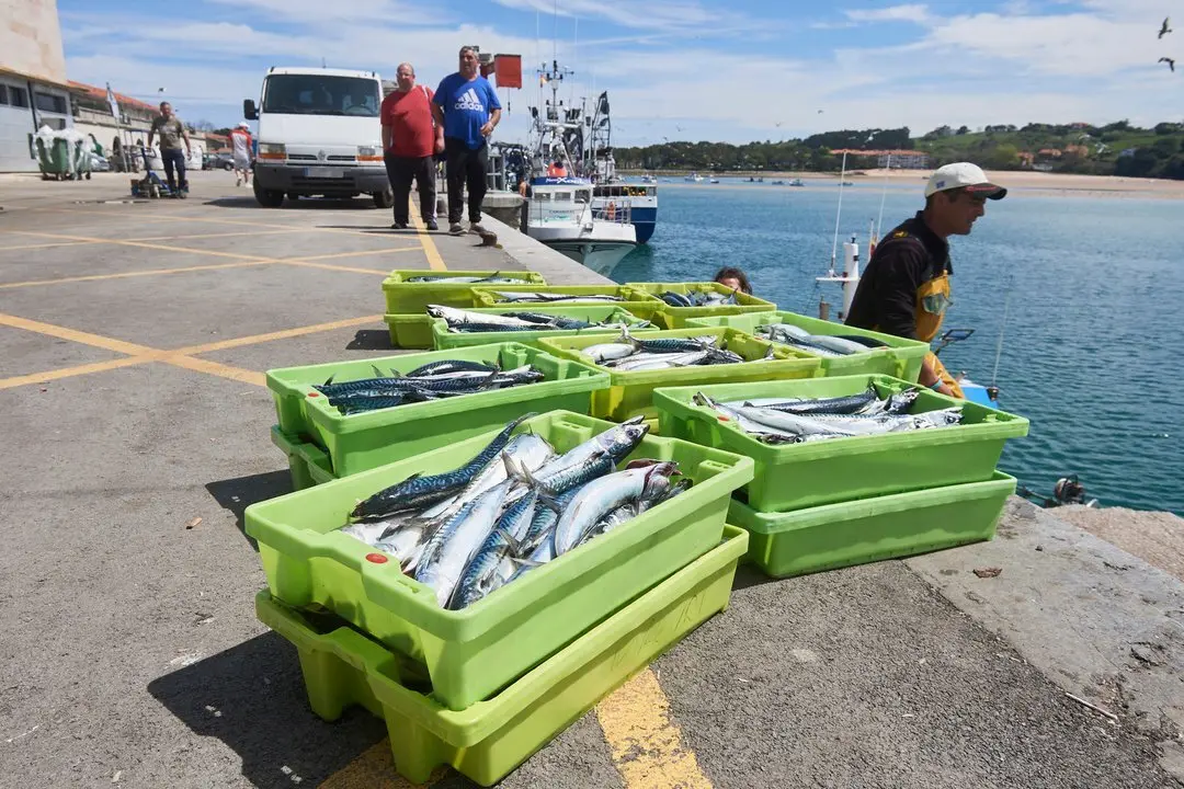 San Vicente de la Barquera (Cantabria)
25/04/2023

Photo: Cesar Ortiz Gonzalez

Buscan a un pescador de un barco gallego desaparecido al caer al mar en San Vicente de la Barquera