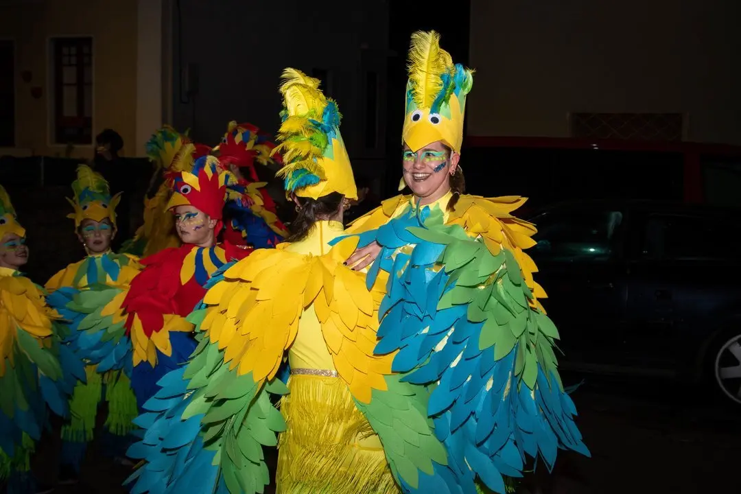 Carnaval Renedo 24-27