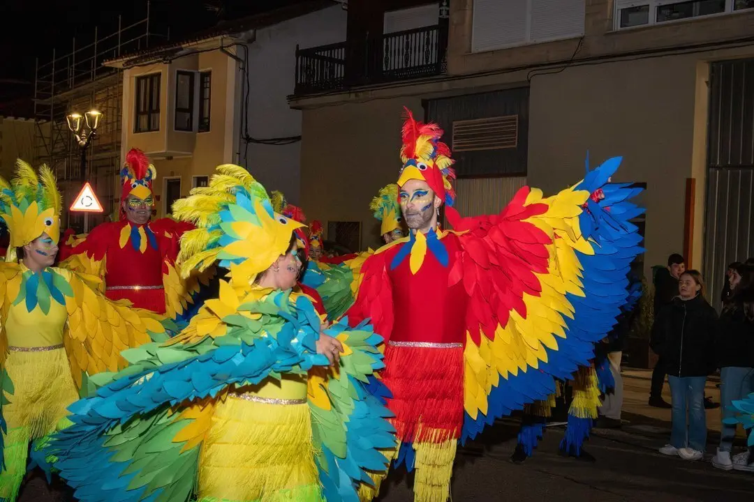 Carnaval Renedo 24-29