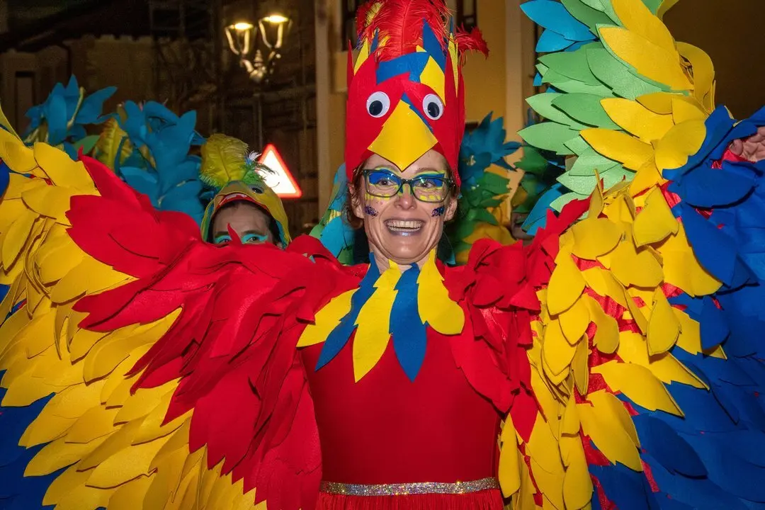 Carnaval Renedo 24-37