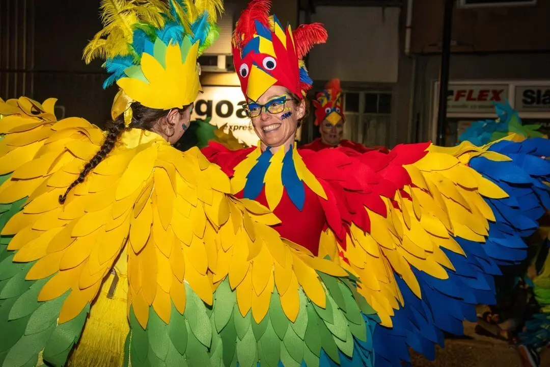 Carnaval Renedo 24-38