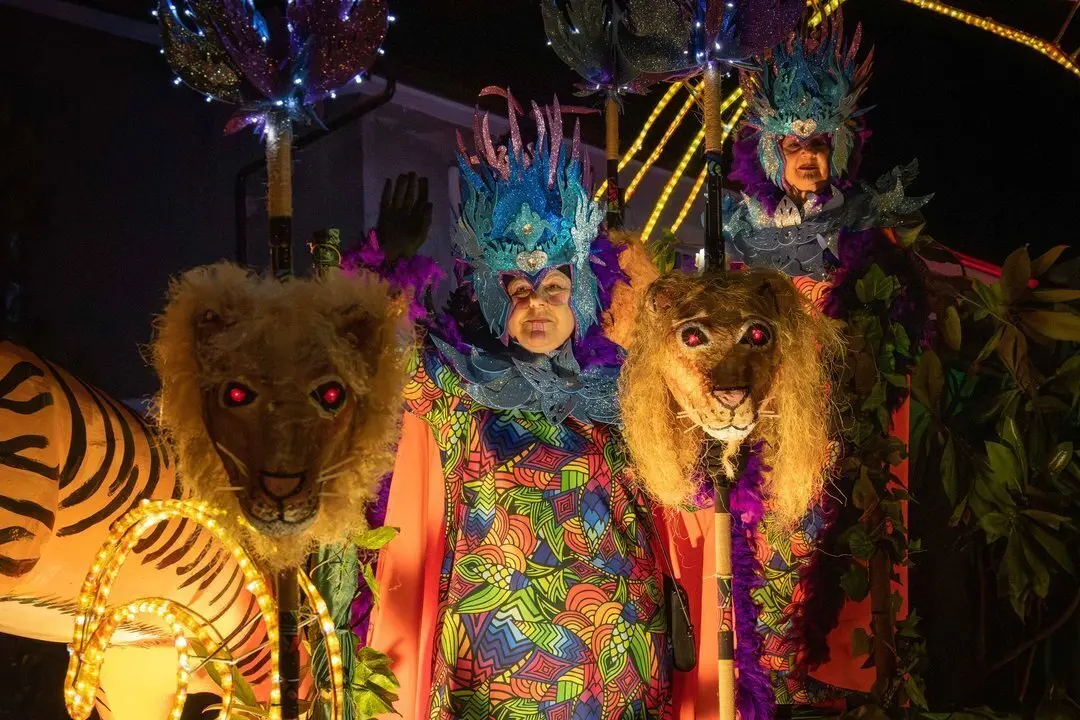 Carnaval Renedo 24-50