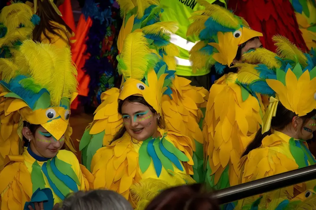 Carnaval Renedo 24-95