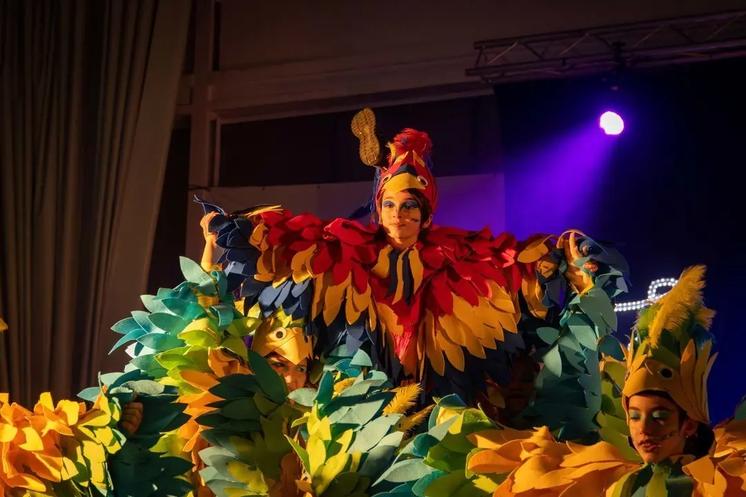 Carnaval Renedo 24-105