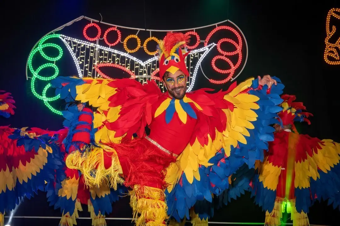 Carnaval Renedo 24-106