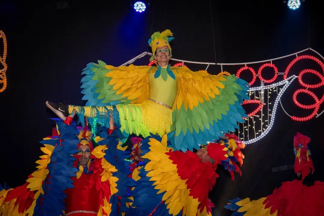 Carnaval Renedo 24-107