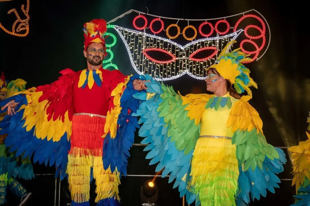 Carnaval Renedo 24-108