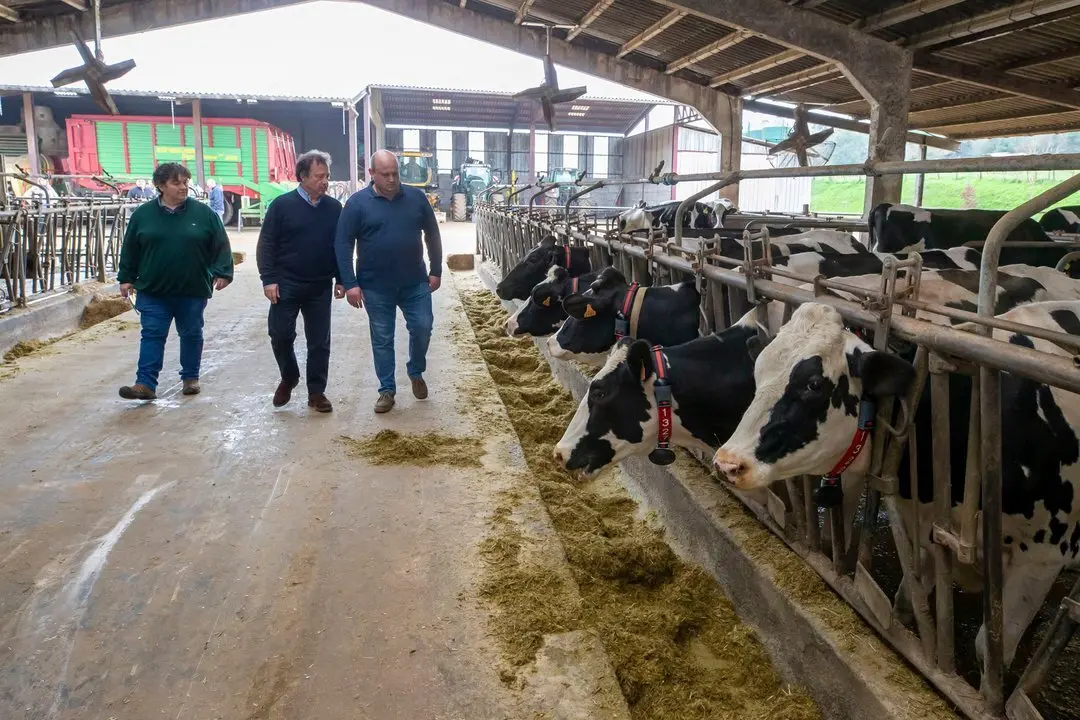 12.30 horas. Bo Liandres s/n. Ruiloba
El consejero de Desarrollo Rural, Ganader&iacute;a, Pesca y Alimentaci&oacute;n, Pablo Palencia, visita la explotaci&oacute;n l&aacute;ctea Los Remedios de Ruiloba. 21 FEBRERO 2024 &copy;&nbsp;Miguel De la Parra