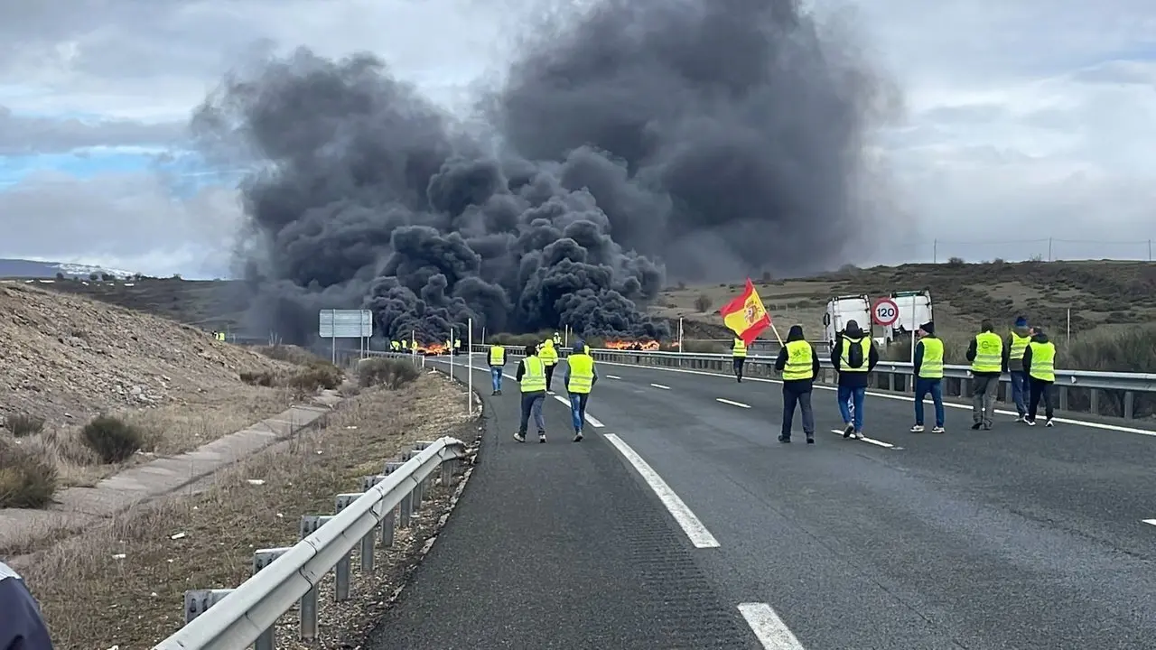 WhatsApp Image 2024-03-01 at 12.16.07