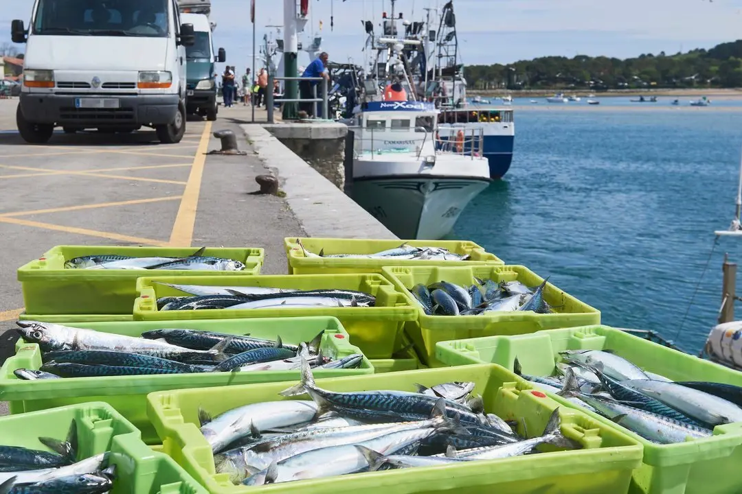 San Vicente de la Barquera (Cantabria)
25/04/2023

Photo: Cesar Ortiz Gonzalez

Buscan a un pescador de un barco gallego desaparecido al caer al mar en San Vicente de la Barquera