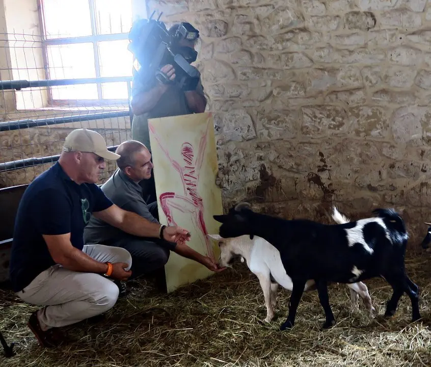 TVE se interesó por la iniciativa de este concurso de cortos