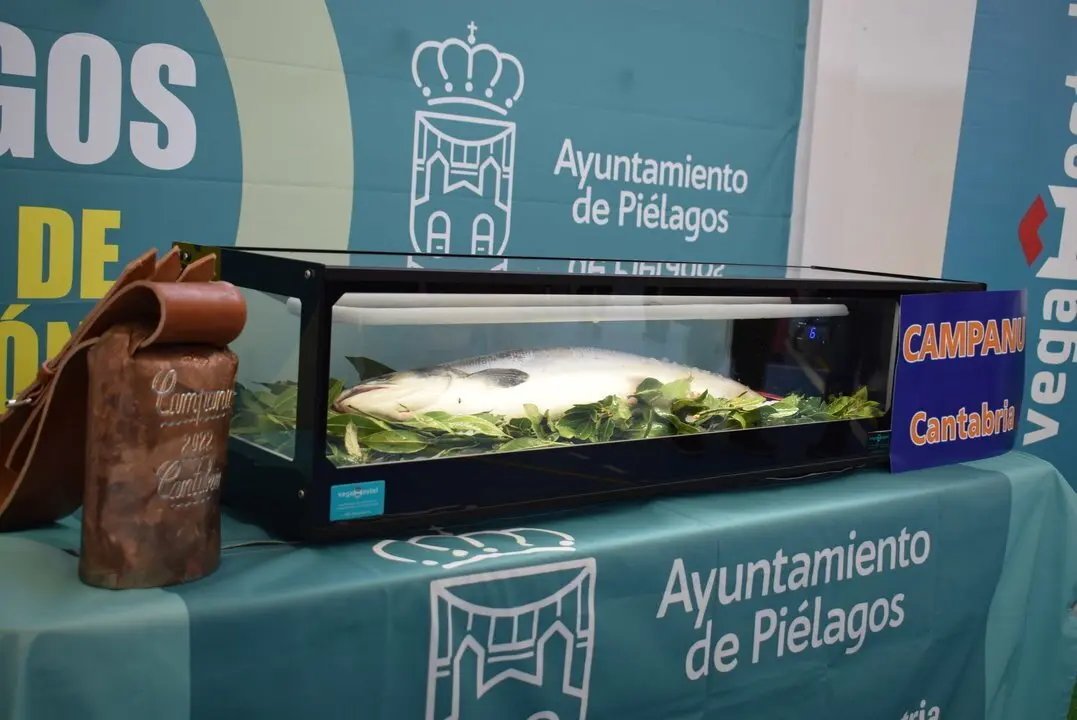 ARCHIVO CAMPANU CANTABRIA 2022