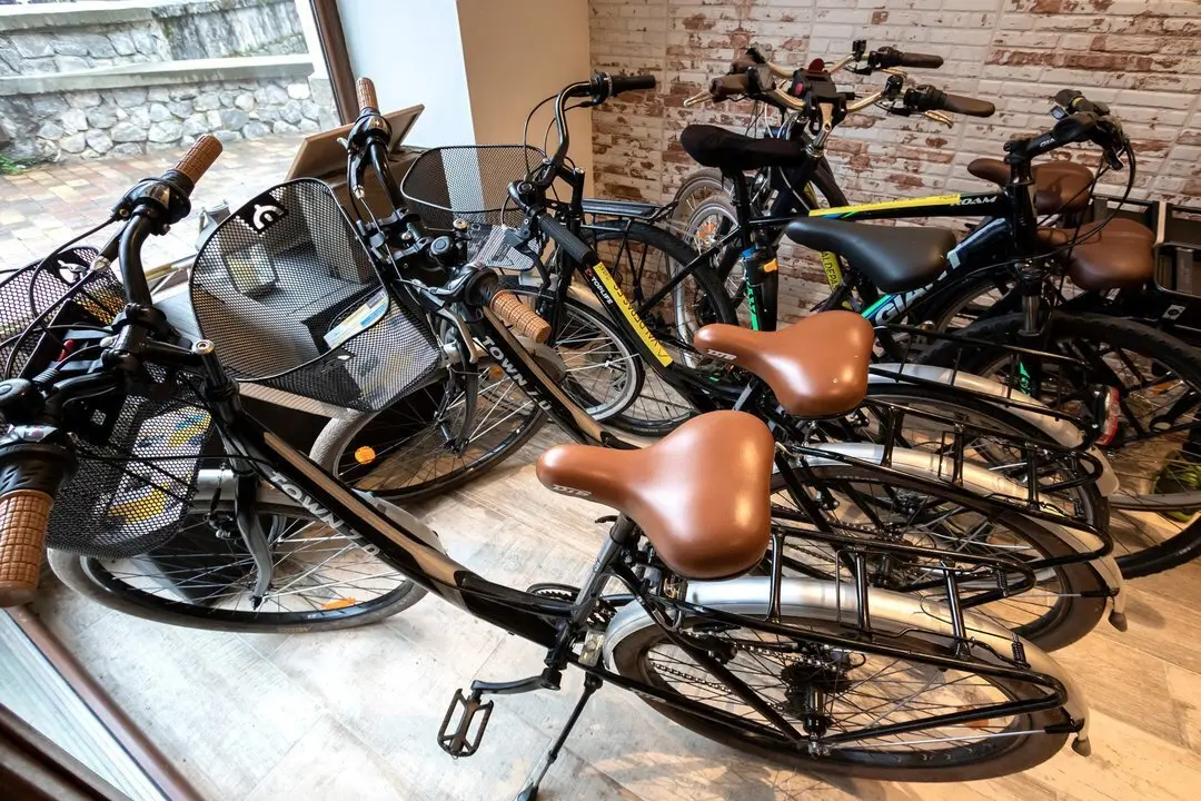 recurso bicicleta ciclismo 03