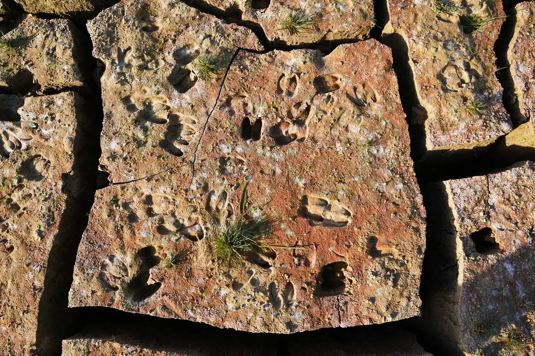 Los restos del antiguo pueblo de Pe&ntilde;arubia han quedado al descubierto por la ausencia de agua en el embalse de Guadalteba a causa de la extrema sequ&iacute;a a 3 de febrero de 2024 en M&aacute;laga, Andaluc&iacute;a.//&Aacute;lex Zea.