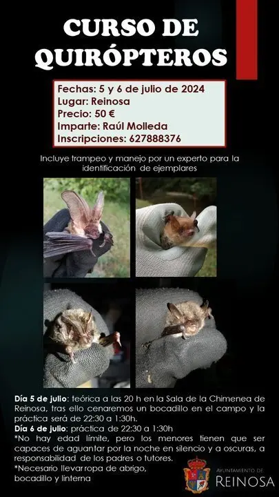 Curso quir&oacute;pteros 24