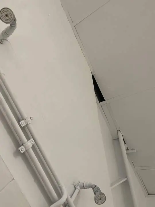 WhatsApp Image 2024-09-03 at 09.03.14