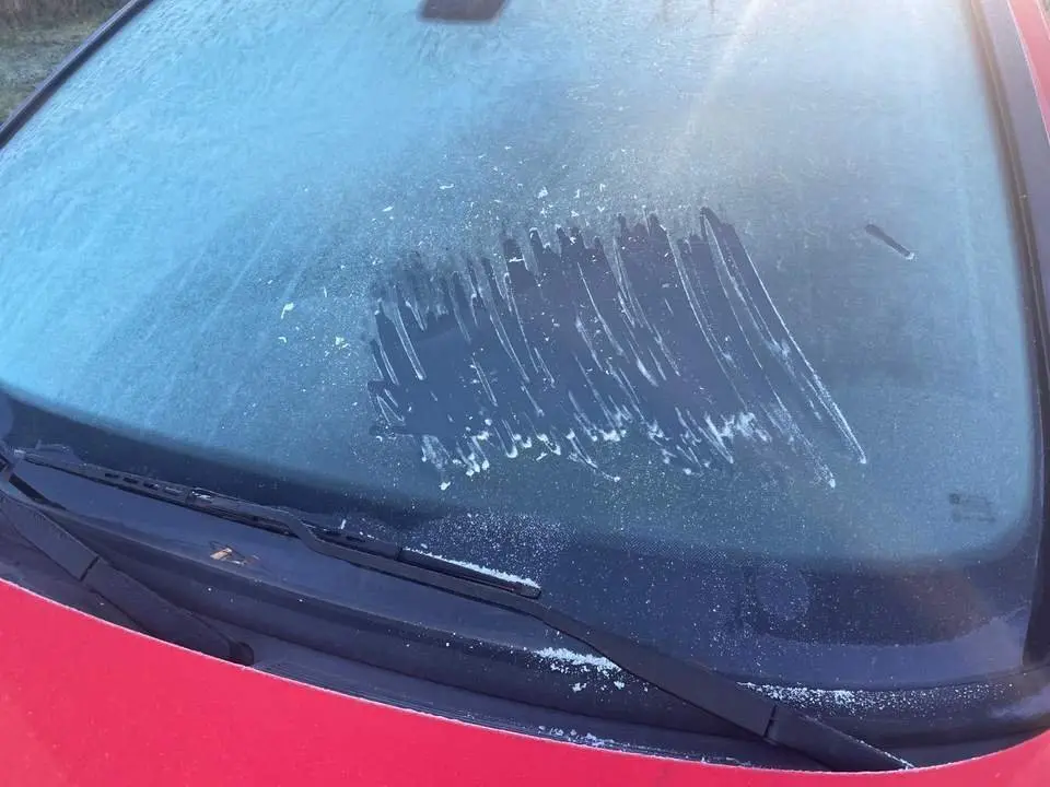 WhatsApp Image 2024-09-15 at 10.17.16