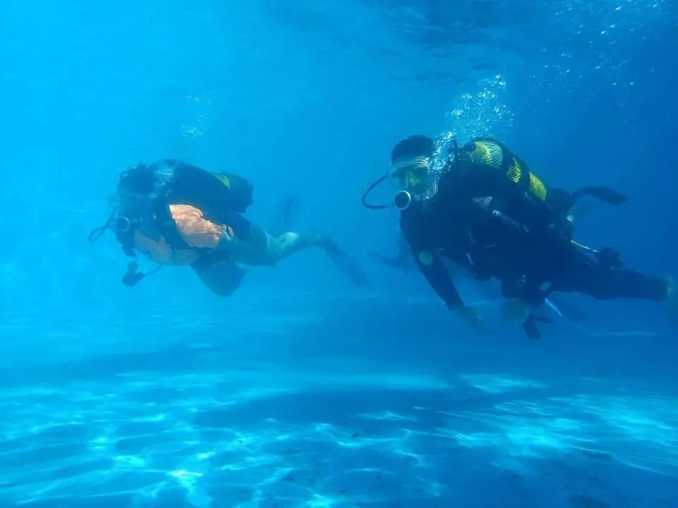 WhatsApp Image 2024-09-17 at 09.44.17