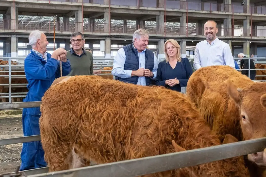 12:00 horas. Mercado Nacional de Ganados. La consejera de Desarrollo Rural, Ganader&iacute;a, Pesca y Alimentaci&oacute;n, Mar&iacute;a Jes&uacute;s Susinos, visita el Mercado Nacional de Ganados. 8 de octubre de 2024 &copy; Ra&uacute;l Lucio