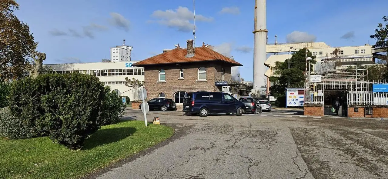 WhatsApp Image 2024-12-04 at 13.31.56