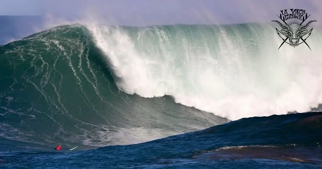 Imagen de WhatsApp 2025-01-21 a las 18.17.28_4610cb3f