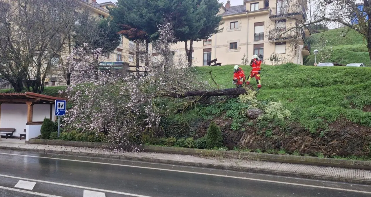 Captura de pantalla 2025-01-30 a las 20.11.27