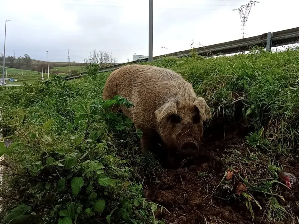 475658824_919078933748909_7399598815734889709_n